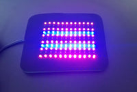 LED Photon Light Unit